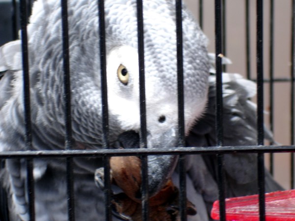 Smokey came camping too